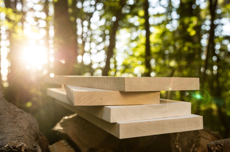The Essential Guide to Understanding Lumber and Plywood